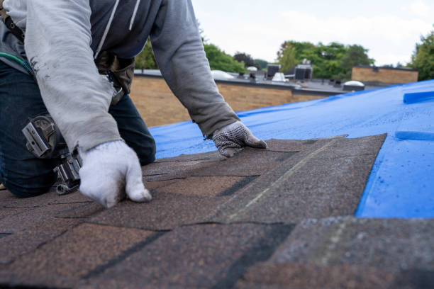 Best Metal Roofing Contractor  in Troy, AL